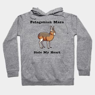 Patagonian Mara Hoodie